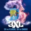Cookies Hollywood 3XL disposable