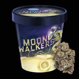 Cookies Moonwalkers flower