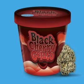Cookies Black Cherry Gelato flower