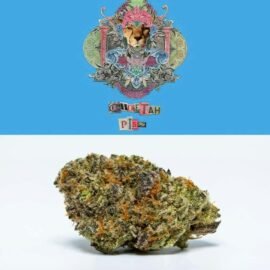 Cookies Cheetah Piss flower