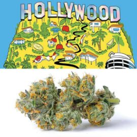 Cookies Hollywood flower