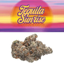 Cookies Tequila Sunrise flower