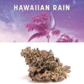 Cookies Hawaiian Rain flower