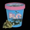 Cookies The Flo flower