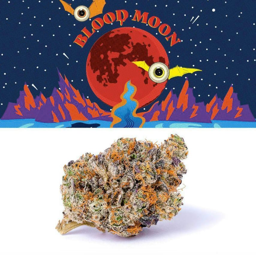 Cookies Blood Moon flower