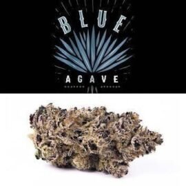 Cookies Blue Agave flower