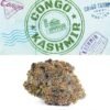 Cookies Congo Kashmir weed
