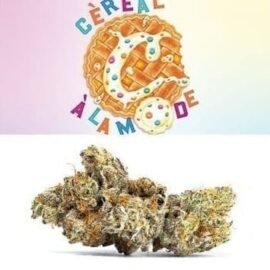 Cookies Cereal A La Mode weed