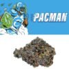 Cookies Pacman weed
