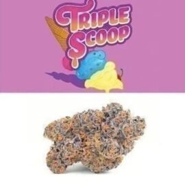 Cookies Triple Scoop weed