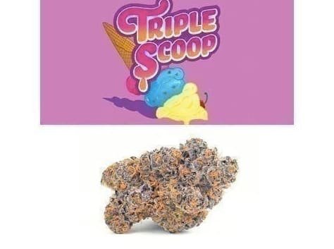 Cookies Triple Scoop weed