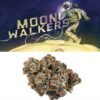 Cookies Moonwalkers 14g flower