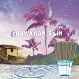 Cookies Hawaiian Rain infused pre roll 5 pack