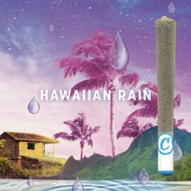 Cookies Hawaiian Rain infused pre roll